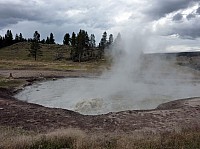 Yellowstone Mud Volcano Area (11).JPG